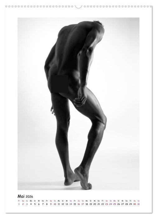 Hinterteile von knackigen Männern (CALVENDO Premium Wandkalender 2026)