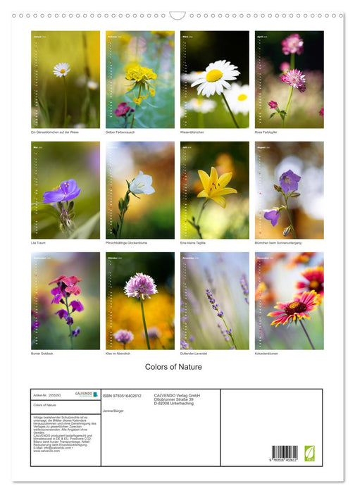 Colors of Nature (CALVENDO Wandkalender 2026)