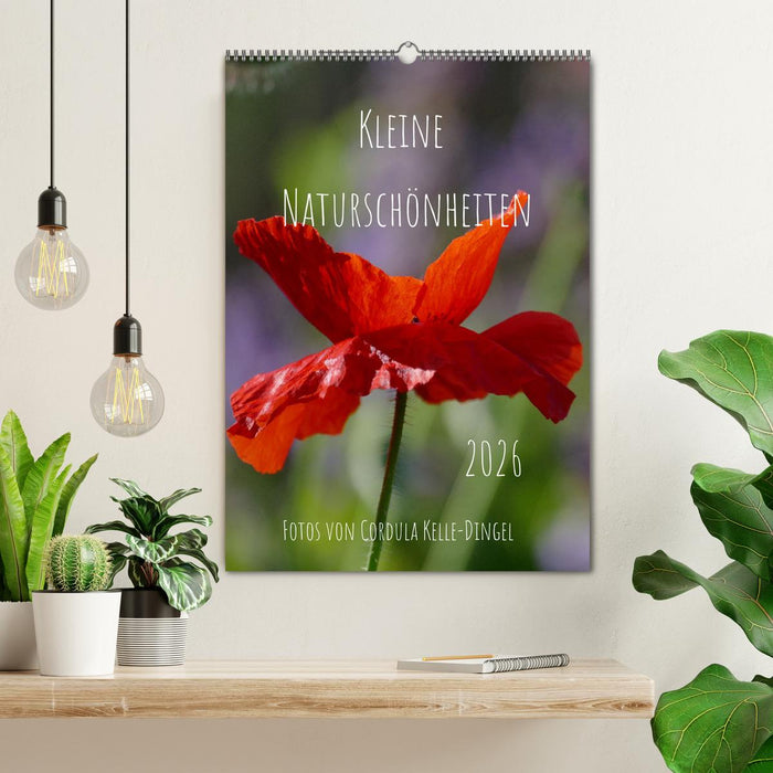 Kleine Naturschönheiten (CALVENDO Wandkalender 2026)