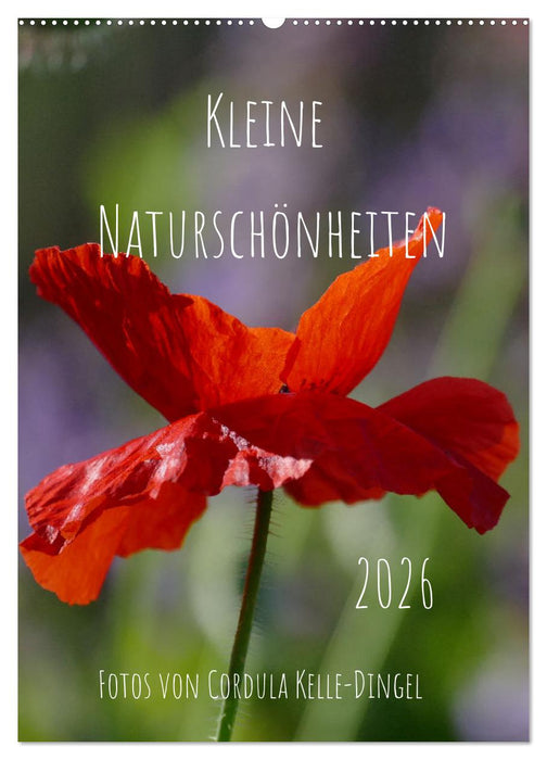 Kleine Naturschönheiten (CALVENDO Wandkalender 2026)