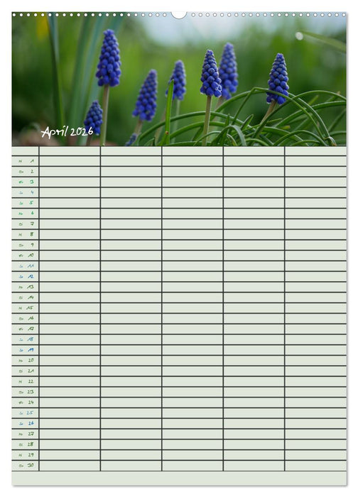 Kleine Naturschönheiten (CALVENDO Wandkalender 2026)