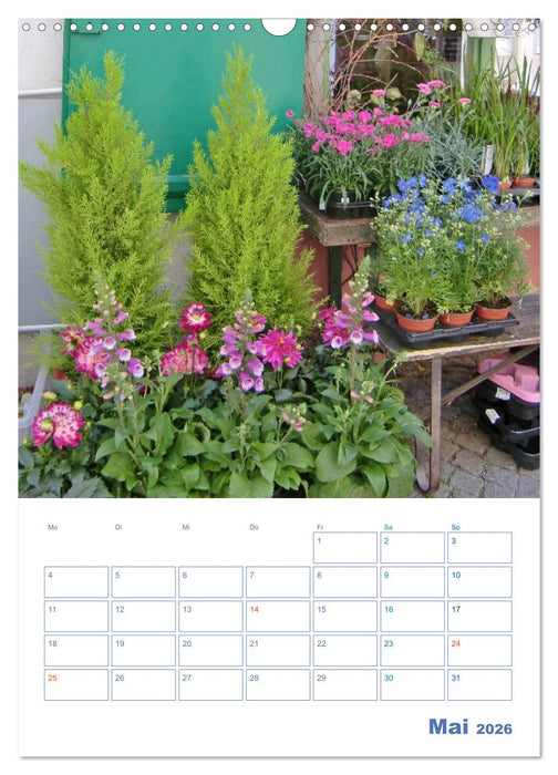 Lindau. Die Glücksfinder-Insel (CALVENDO Wandkalender 2026)