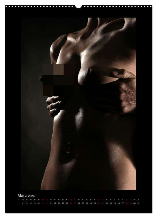 Kraft der Umarmung (CALVENDO Premium Wandkalender 2026)