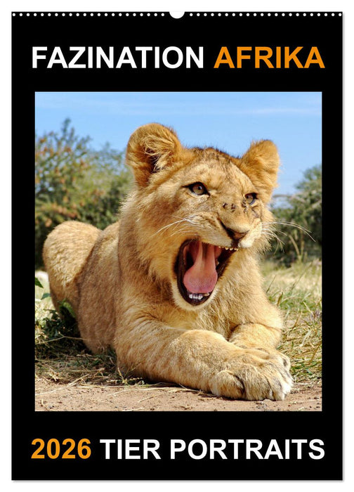FAZINATION AFRIKA TIER PORTRAITS (CALVENDO Wandkalender 2026)