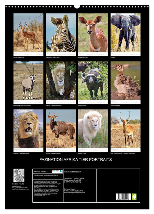 FAZINATION AFRIKA TIER PORTRAITS (CALVENDO Wandkalender 2026)