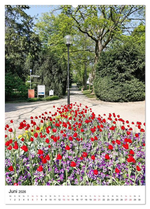 Bad Soden am Taunus (CALVENDO Premium Wandkalender 2026)