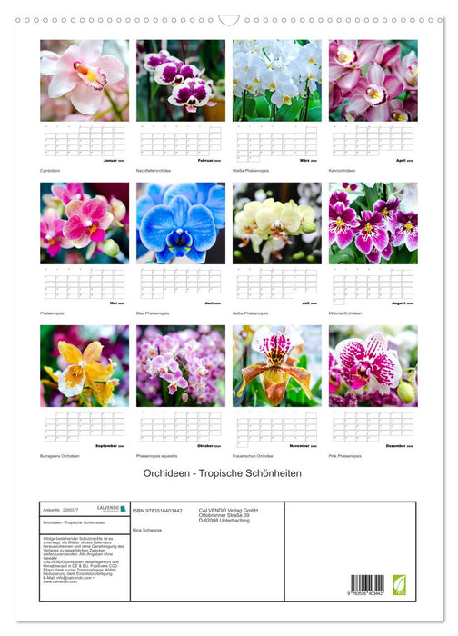 Orchideen - Tropische Schönheiten (CALVENDO Wandkalender 2026)