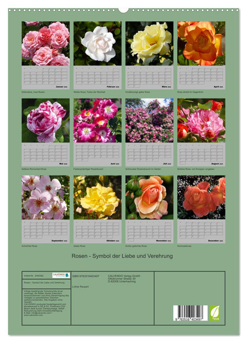 Rosen - Symbol der Liebe und Verehrung (CALVENDO Premium Wandkalender 2026)