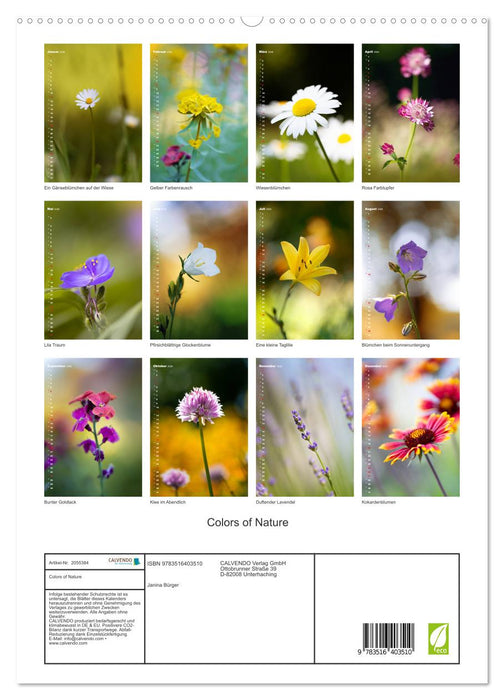Colors of Nature (CALVENDO Premium Wandkalender 2026)