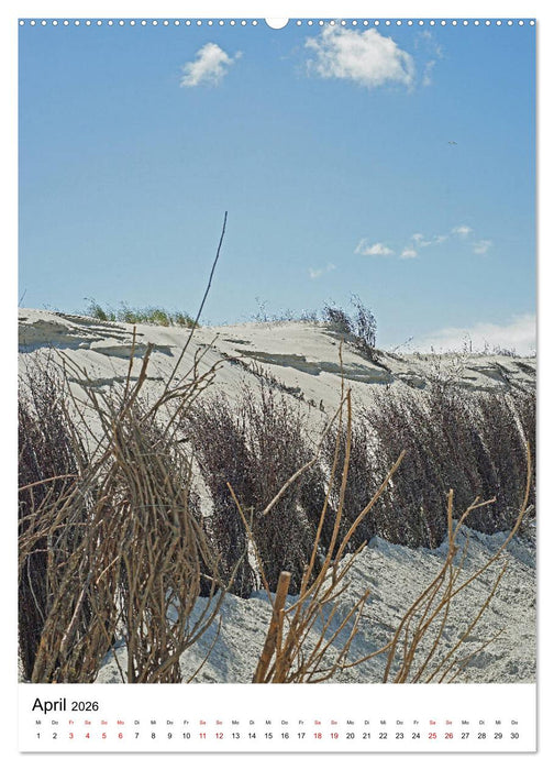 Norderney - Inselliebe (CALVENDO Wandkalender 2026)