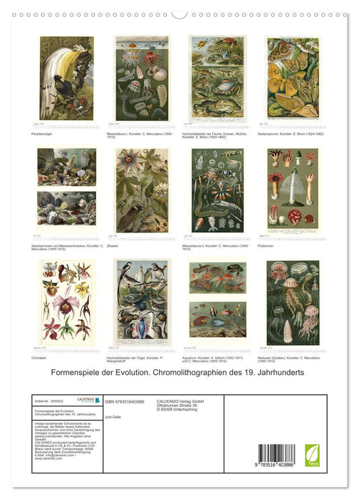 Formenspiele der Evolution. Chromolithographien des 19. Jahrhunderts (CALVENDO Premium Wandkalender 2026)