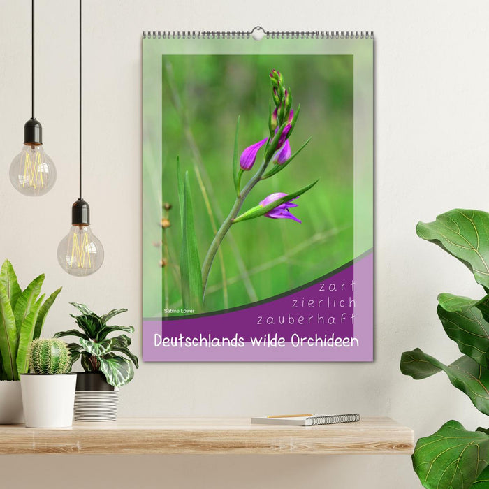 Deutschlands wilde Orchideen (CALVENDO Wandkalender 2026)