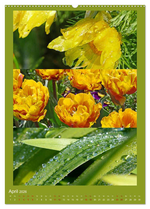 Mein Gartenjahr - Mit der Kamera unterwegs in Gärten und Parkanlagen (CALVENDO Premium Wandkalender 2026)