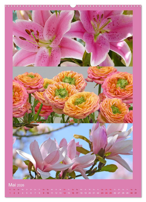 Mein Gartenjahr - Mit der Kamera unterwegs in Gärten und Parkanlagen (CALVENDO Premium Wandkalender 2026)