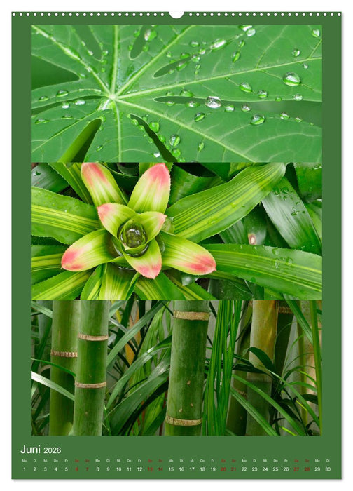 Mein Gartenjahr - Mit der Kamera unterwegs in Gärten und Parkanlagen (CALVENDO Premium Wandkalender 2026)