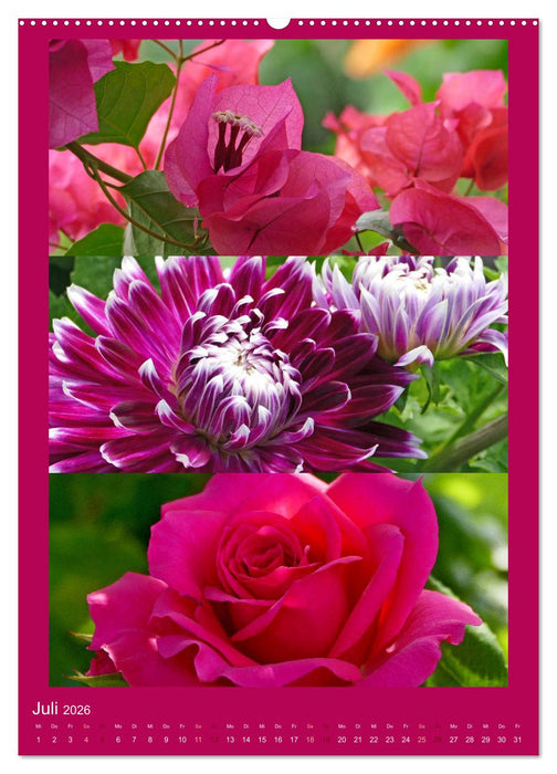 Mein Gartenjahr - Mit der Kamera unterwegs in Gärten und Parkanlagen (CALVENDO Premium Wandkalender 2026)