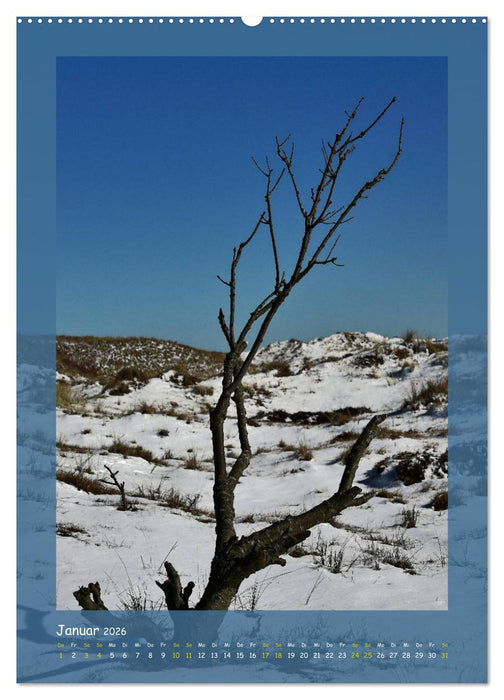 Texel sehen und verlieben (CALVENDO Premium Wandkalender 2026)