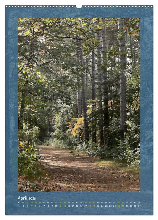 Texel sehen und verlieben (CALVENDO Premium Wandkalender 2026)