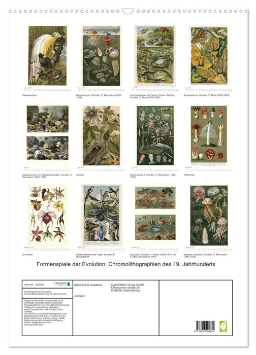 Formenspiele der Evolution. Chromolithographien des 19. Jahrhunderts (CALVENDO Wandkalender 2026)