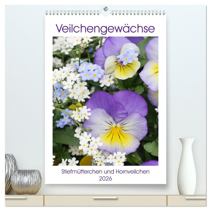 Veilchengewächse Stiefmütterchen und Hornveilchen (CALVENDO Premium Wandkalender 2026)
