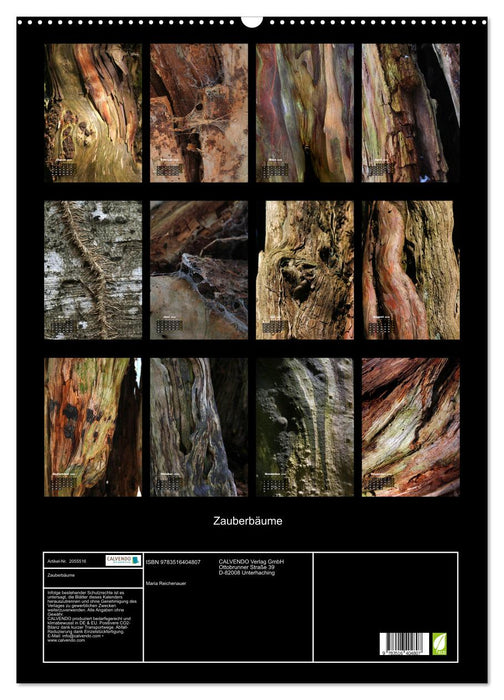 Zauberbäume (CALVENDO Wandkalender 2026)