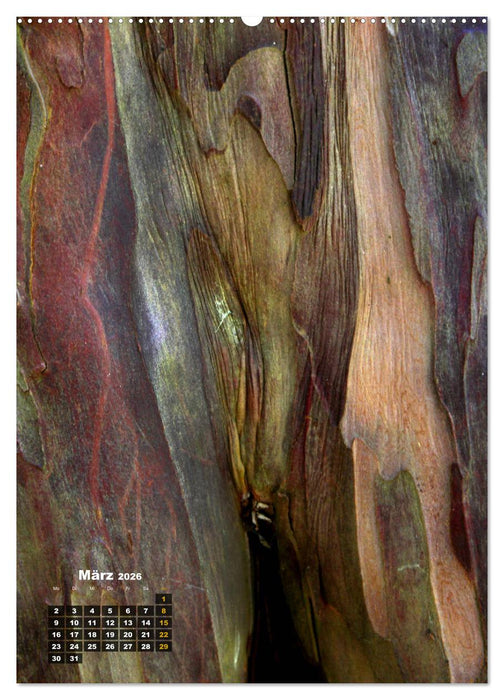 Zauberbäume (CALVENDO Wandkalender 2026)