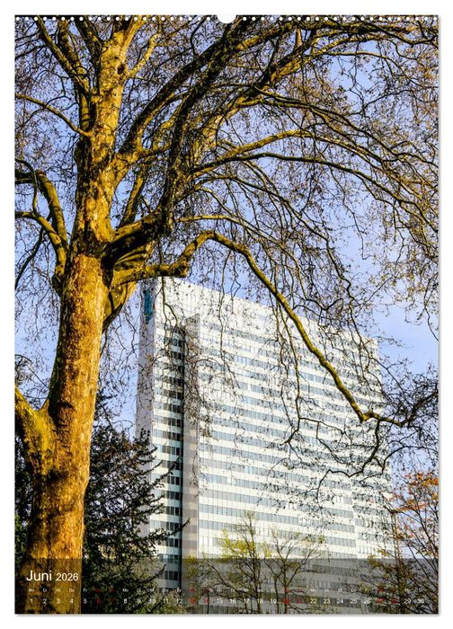 Ein Spaziergang durch Düsseldorf (CALVENDO Wandkalender 2026)