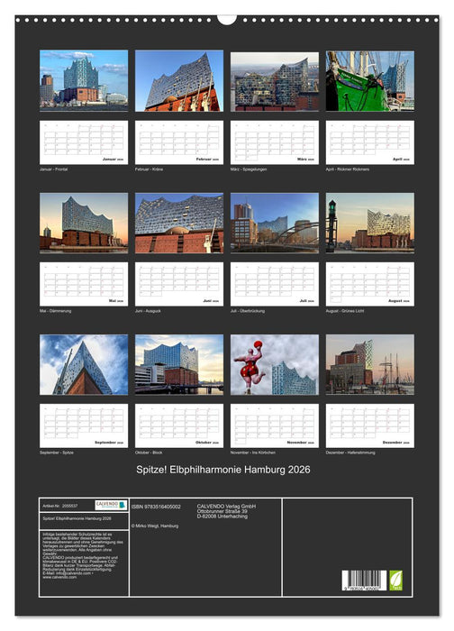 Spitze! Elbphilharmonie Hamburg 2026 (CALVENDO Wandkalender 2026)