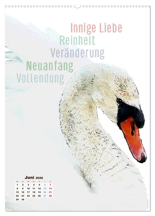 Welche spirituelle Bedeutung hat dieser Vogel? (CALVENDO Premium Wandkalender 2026)