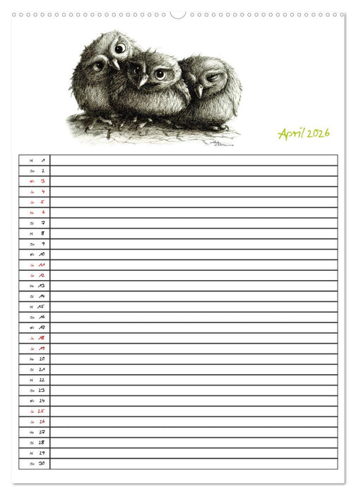 Tieronisch Eulen (CALVENDO Premium Wandkalender 2026)
