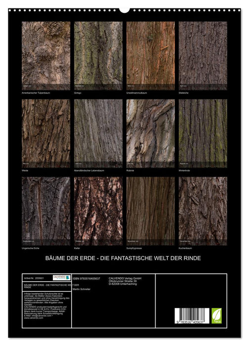 BÄUME DER ERDE - DIE FANTASTISCHE WELT DER RINDE (CALVENDO Premium Wandkalender 2026)