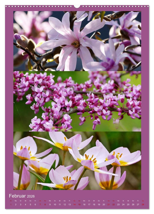 Mein Gartenjahr - Mit der Kamera unterwegs in Gärten und Parkanlagen (CALVENDO Wandkalender 2026)