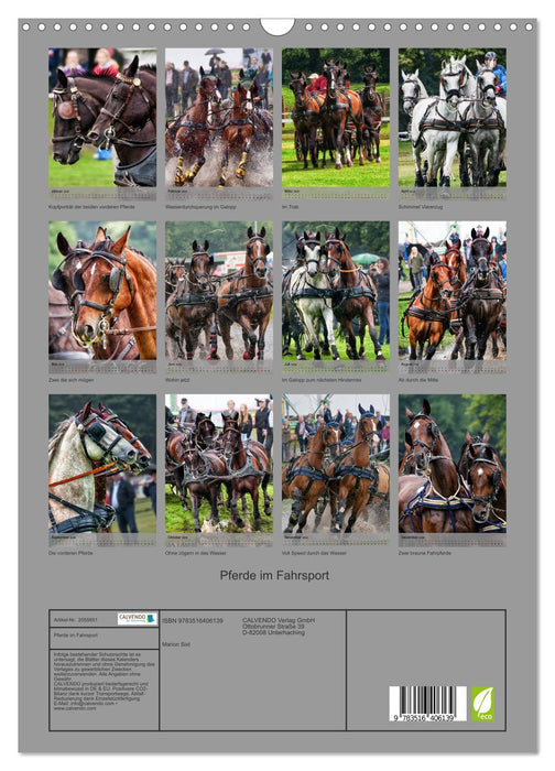 Pferde im Fahrsport (CALVENDO Wandkalender 2026)