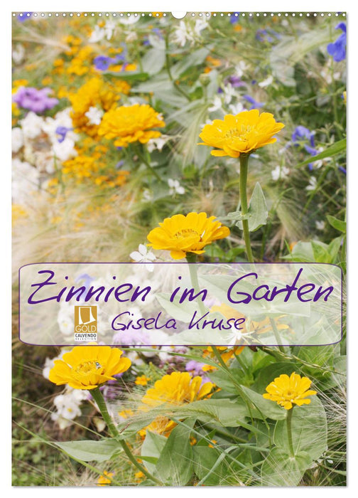 Zinnien im Garten (CALVENDO Wandkalender 2026)
