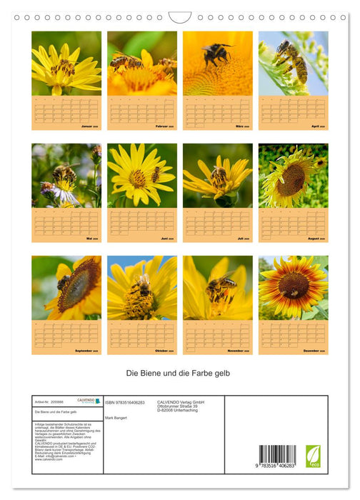 Die Biene und die Farbe gelb (CALVENDO Wandkalender 2026)