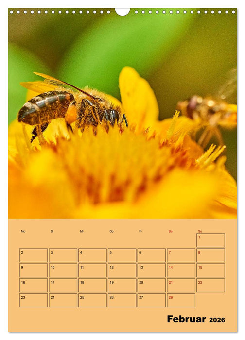 Die Biene und die Farbe gelb (CALVENDO Wandkalender 2026)