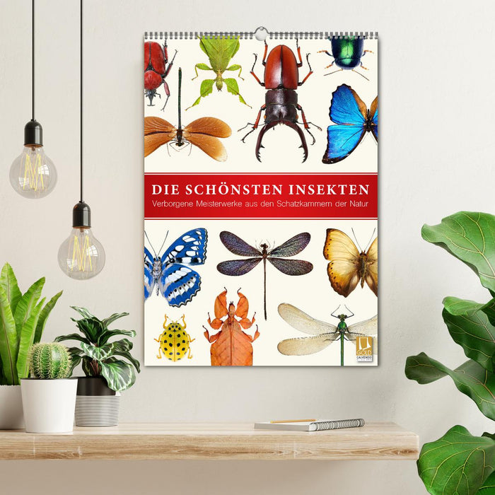 Die schönsten Insekten (CALVENDO Wandkalender 2026)