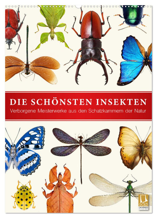 Die schönsten Insekten (CALVENDO Wandkalender 2026)