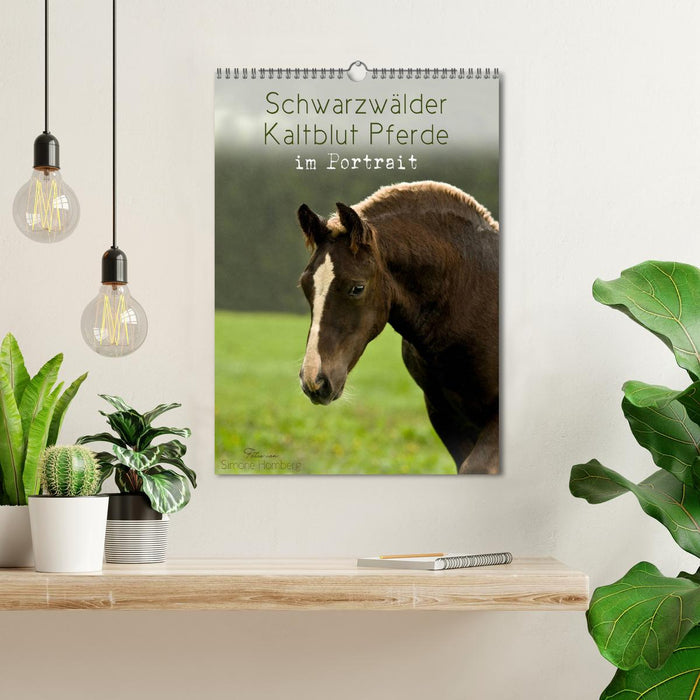 Schwarzwälder Kaltblut Pferde im Portrait (CALVENDO Wandkalender 2026)