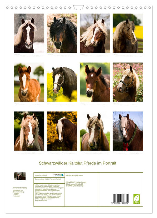 Schwarzwälder Kaltblut Pferde im Portrait (CALVENDO Wandkalender 2026)