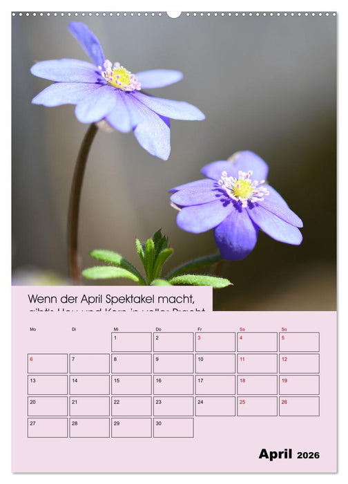 Wetter-Regeln der Bauern (CALVENDO Premium Wandkalender 2026)