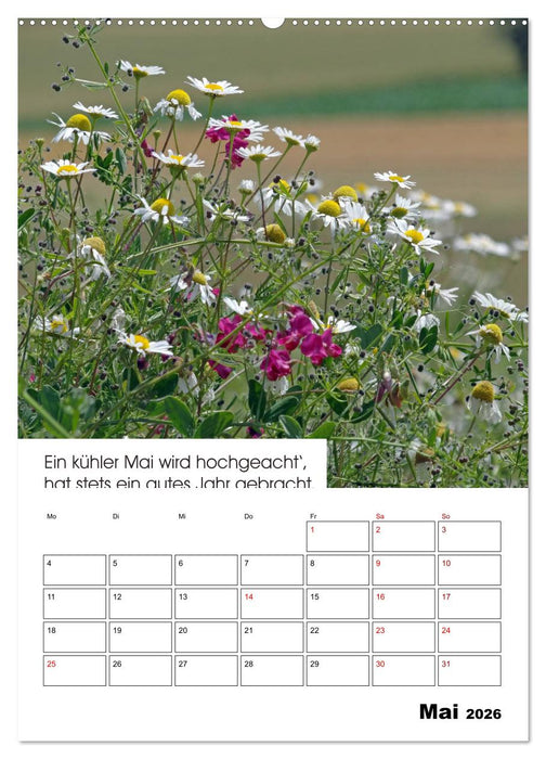 Wetter-Regeln der Bauern (CALVENDO Premium Wandkalender 2026)