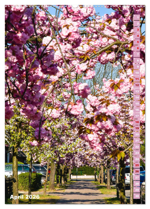 Meerbusch am Rhein (CALVENDO Premium Wandkalender 2026)