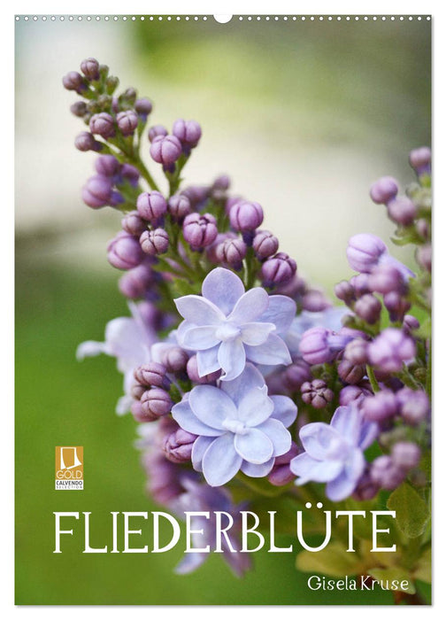 Fliederblüte (CALVENDO Wandkalender 2026)