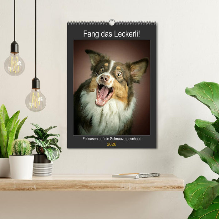 Fang das Leckerli (CALVENDO Wandkalender 2026)