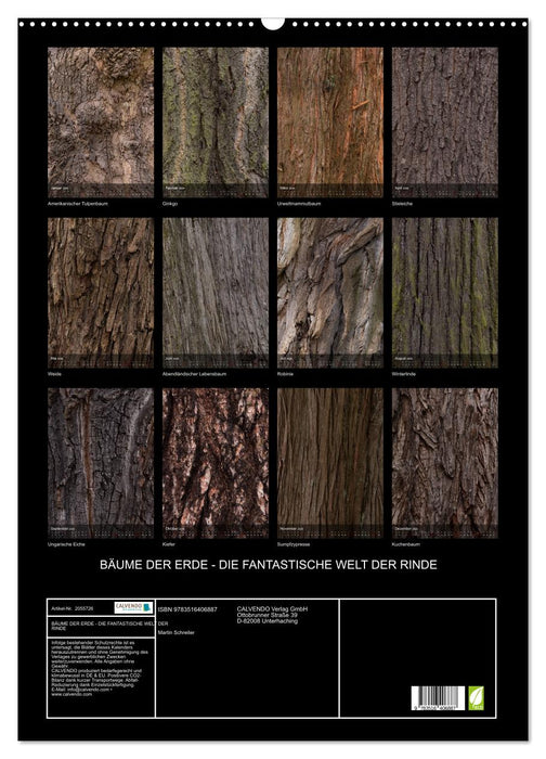 BÄUME DER ERDE - DIE FANTASTISCHE WELT DER RINDE (CALVENDO Wandkalender 2026)