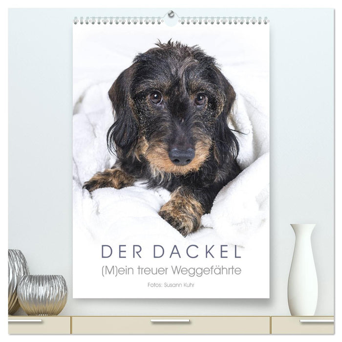 Der Dackel (M)ein treuer Weggefährte (CALVENDO Premium Wandkalender 2026)