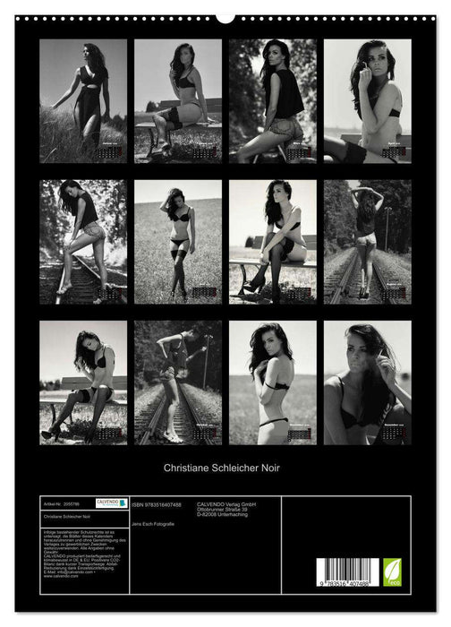 Christiane Schleicher Noir (CALVENDO Premium Wandkalender 2026)