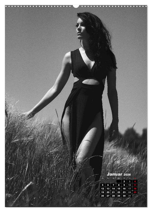 Christiane Schleicher Noir (CALVENDO Premium Wandkalender 2026)