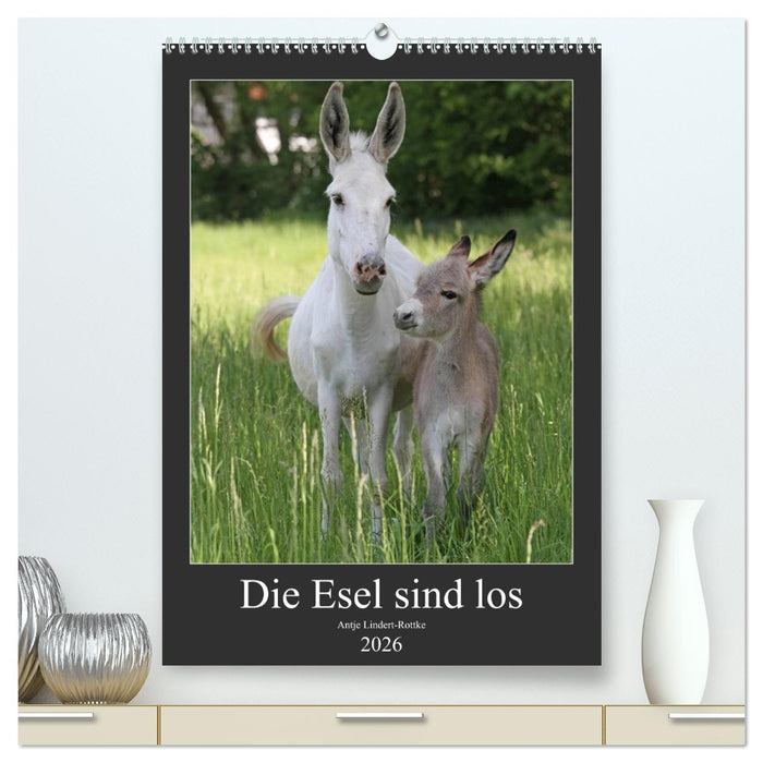 Die Esel sind los (CALVENDO Premium Wandkalender 2026)